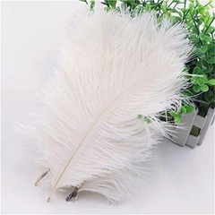 12 pcs 24-26″ long White Genuine Ostrich FEATHERS Wedding Party Centerpieces