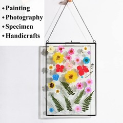 TLBTEK 8X12inch Picture Frames,Brass Hanging Double Glass Frame for Pressed F…