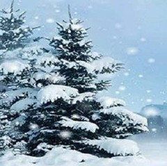 Great Papers! Beautiful Winter Letterhead, 80 count, 11″ x 80 Sheets, Blue
