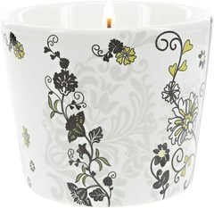 Pavilion Gift – 8 Oz Soy Wax Candle 100 Lead-Free Cotton In