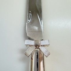 New Kate Spade Lenox Silverplate Cake Server & Knife Set w/ Bows Wedding