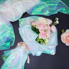 Iridescent Fabric Organza Fabric Sheer 59 Inches Wide Rainbow 11 Yard White