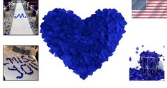 1000 Pcs Silk Rose Petals in Sapphire Blue – Elevate Your Wedding & Party Decor