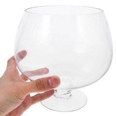 Clear Bubble Bowl Glass Fish Bowl Terrarium Globe Flower Vase Hydroponic Vase