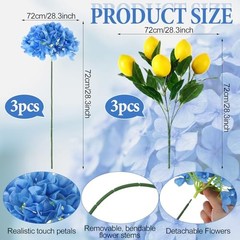 6pcs Amalfi Coast Party Decorations Capri Theme Table Centerpieces