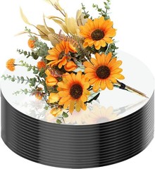 16Pack Round Mirror Plates Centerpieces Tables 6inch Mirror Trays Circle Mirror
