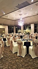 PCS Satin Chair Sashes Bows for Wedding Reception- Universal Chair 50 Purple