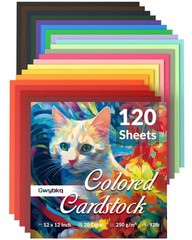 120 Sheets Colored Cardstock 12″ x 12″, Cardstock Paper 250gsm/92lb for Print…