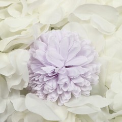 3D Flower Wall Panel-12pcs Artificial Flower Wall Background Silk Rose Wedding