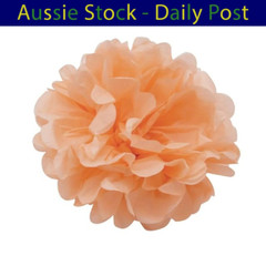 Pom Poms Tissue Paper Pompoms Wedding Baby Shower Birthday Party 6″-10″ 5pcs