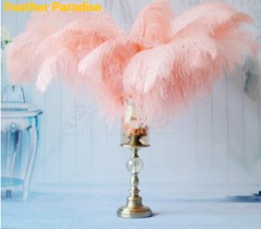 Peach Blush Pink 12 Pieces Ostrich Feather 12-14 inches Dozen Wedding Centerpiec