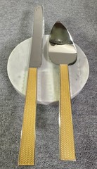 NWB Vera Wang Wedgewood With Love Pearl Cake Knife & Server Set MSRP $110