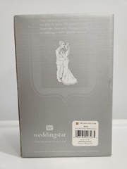 Main Squeeze Cheeky Couple Funny Wedding Cake Topper Medium Skin Tone