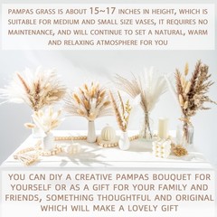 440PCS Natural Dried Pampas Grass Boho Home Decor Bouquet Phragmites Dried Fl…