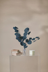 Eucalyptus Populus Dried & Fresh Wedding Home Décor Arrangement Party Baby Blue