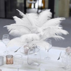12 pcs 13-15″ long White Genuine Ostrich FEATHERS Wedding Party Centerpieces