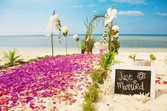 Mii Fresh Orchid Loose Bloom PERISHABLE flowers OrchidClub Sunne
