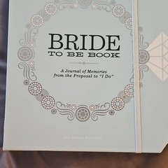 Potter Style Bride To Be Book Wedding Journal Keepsake Light Blue Geometric