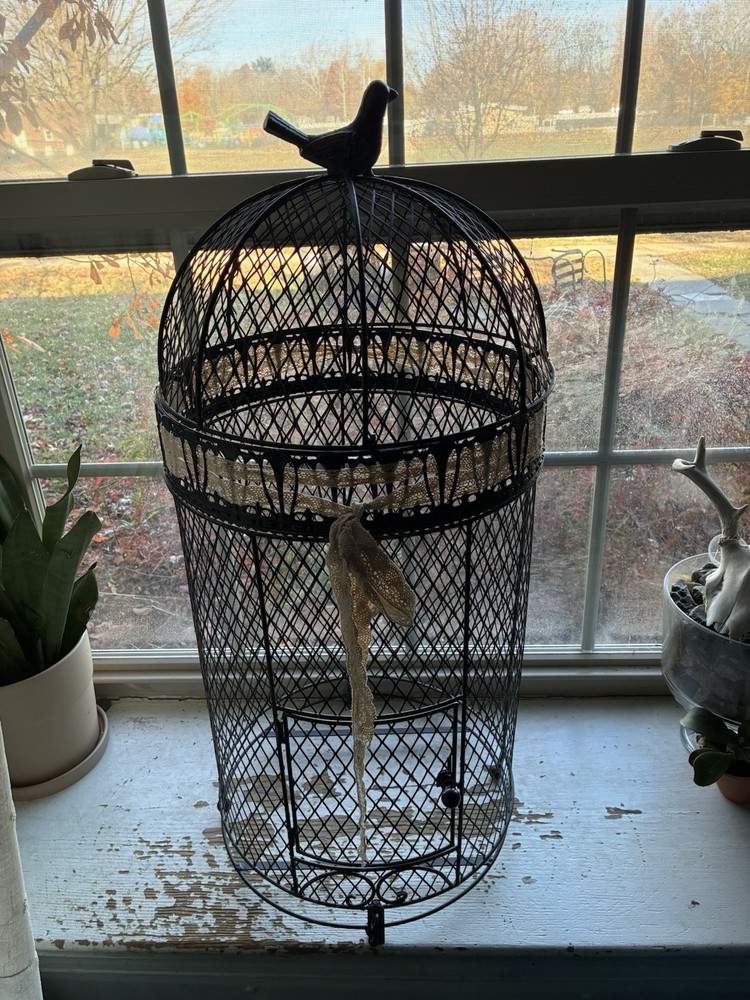 Wrought Iron Bird Cage – Wedding Decor to collect cards, small gifts, etc!!!