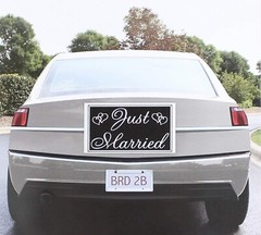 WILTON «Just Married» Banner 30″ W x 18in H