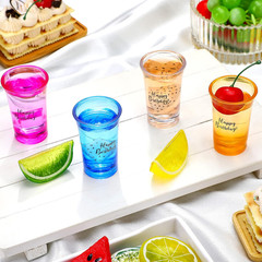 24 Pcs Birthday Party Shot Glasses Bulk Adult Party Favors for Guests 1.2 Oz Fun