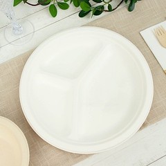 50 Round 10″ WHITE 3-Compartment Sustainable Bagasse DINNER PLATES Party Events