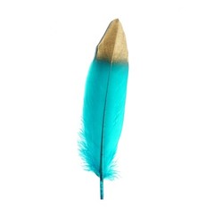 90 TURQUOISE with Metallic Gold Tip Natural Goose Feathers Wedding Decorations