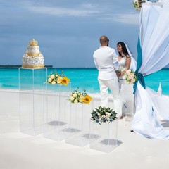 4Pcs Clear Acrylic Pedestal Stands, Display Pedestal for Floral & Cake Display