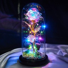 LED Eternal Galaxy Rose in Glass Enchanted Forever Flower Thanksgiving Xmas Gift