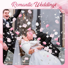 180 PCS Real Pink White Rose Flower Petals Confetti for Wedding to Throw, 1.75oz