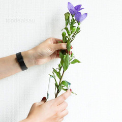 Rose Thorn Stripper Tool, 100% Made in Japan 4.2 (107mm) Silver