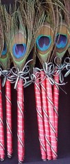 12 Peacock Feather Pen Party,forParty,Sweet16,Bridal S,Mom GIft,Weddin Favors