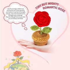 Valentines Day Gifts for Her, Romantic Girlfriend, Medium, Red