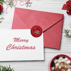 CRASPIRE Bird Wax Seal Stamp Holly Mistletoe Sealing Stamp X’Mas EVE Merry Ch…