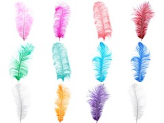 6-PACK 13”-15” OSTRICH FEATHER PLUMES FOR CENTERPIECES/TABLETOP DECOR