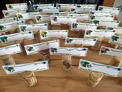 Whimsy Flower Shabby Chic Place Cards & Wine Cork Holders different Vineyards