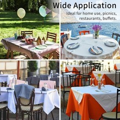 Stainless Steel Tablecloth Clips 12 Pack Secure Clamps Outdoor Picnics Weddings
