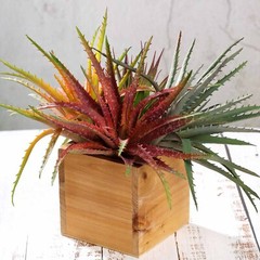 3 Green 12″ Assorted Faux Aloe Succulent Sprays Stems Wedding Party Centerpieces