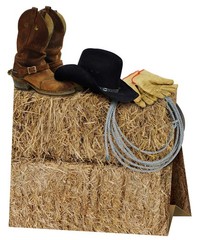 Beistle 3-D Western Centerpiece, 9.5″ Tall 1 Count (Pack of 1), Multicolored