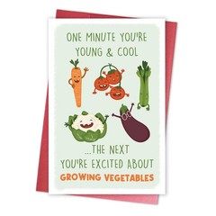 Funny Gardener Birthday Card for Woman Man, Humorous Birthday Card for Family…