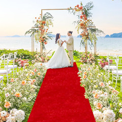 Red Carpet Runner Wedding Aisle Rug Velvet Party Event Decor 4 x 15 ft