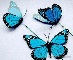 3D Colorful Artificial Butterfly Dummy Craft Wedding Party Floral Decor Gifts*1