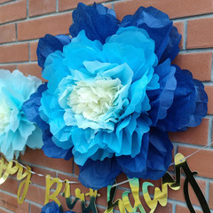 Blue Navy Tissue Paper Flower for Floral Wall DIY Party Backdrop Wedding (20“-14