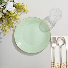 SAGE GREEN 10 Glossy 8″ Round Plastic Salad PLATES Gold Rim Party Events