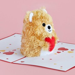 Lovepop Plushpop Soft Animal Pop-Up Card for Her and Him – 3D Bear Everyday G…