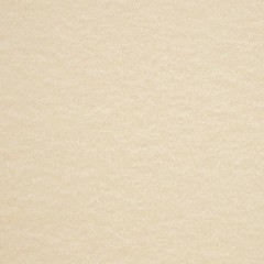 LUXPaper 8.5″ x 11″ Cardstock | Letter Size | Cream Parchment | 50 Qty,