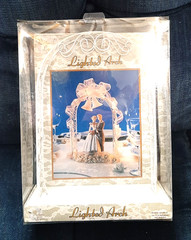 Victoria Lynn White Lighted Arch Wedding Bridal Shower Decor New in Box 11 x 7»