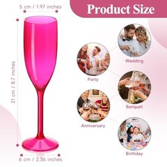 Champagne Flute Acrylic Champagne Glasses Wedding Toasting Champagne Flute