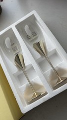 Lenox Wedding Promises Heart Champagne Flutes Set of 2 Silver Tone Decorated