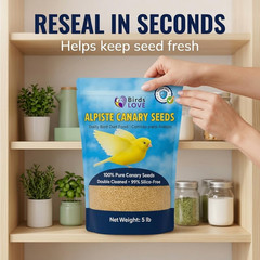 Alpiste 100% Non-Gmo Double Cleaned Canary Seed 5Lbs | Canary and Fi
